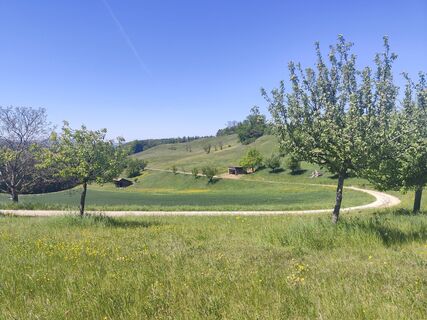 Foto von Sommer Joe entlang der Tour
