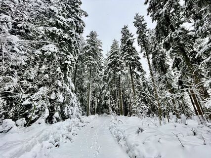 Foto von Les aventures de Ghislain entlang der Tour