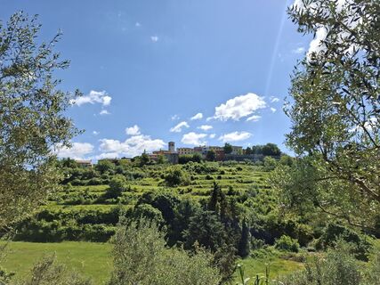 Foto von nordbergschnecke entlang der Tour