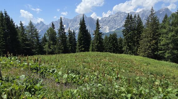 Fotografie de la ChrisWe de-a lungul turului