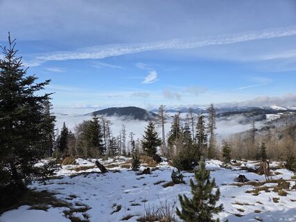 Foto de Birgit Zückert a lo largo del recorrido