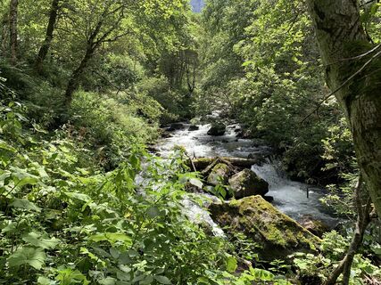 Foto von Koen De Wit entlang der Tour