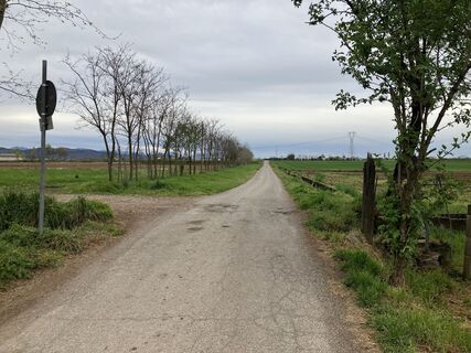 Fotografia z andrea calabria na trase