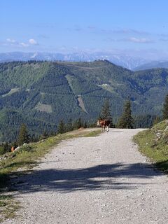 Foto von Wolfhard Lenz entlang der Tour
