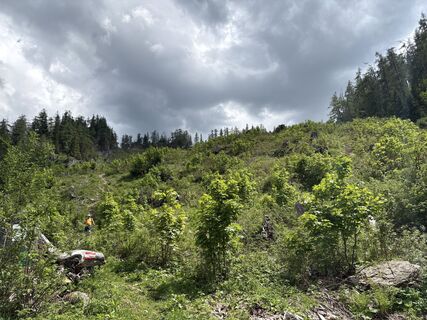 Photo de Moonytiger le long du parcours