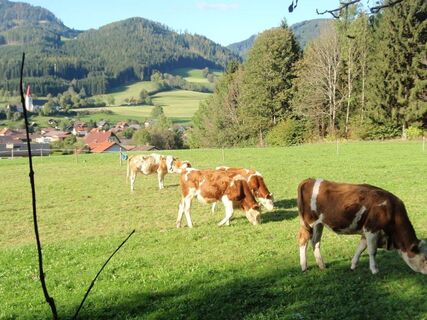 Herbstimpressionen