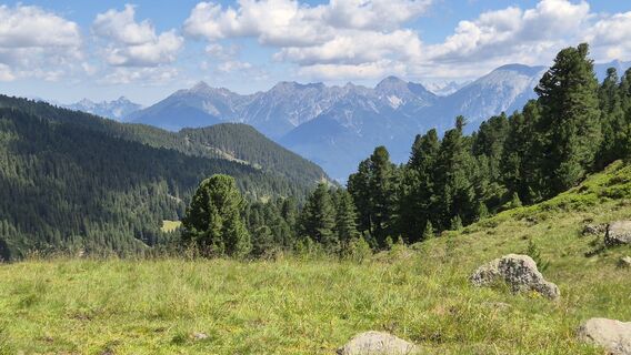 Photo de Cilli Waldhof le long du parcours
