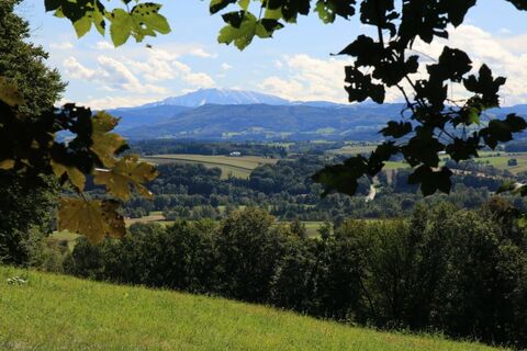 Blick zum Ötscher vom Burgstaller Kogel