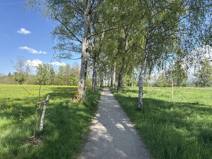 Foto da Similaun lungo il tour