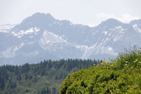 Aussicht vom Penkkopf
