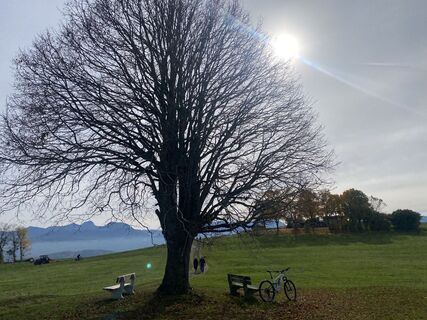 Foto von Sven Krieblin entlang der Tour