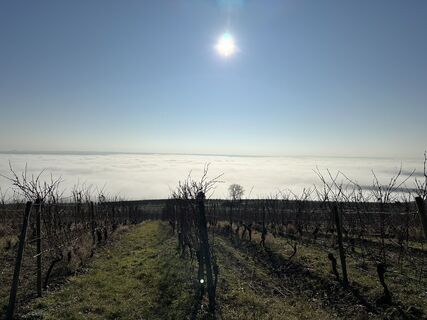 Fotografia z Andreas Mader na trase