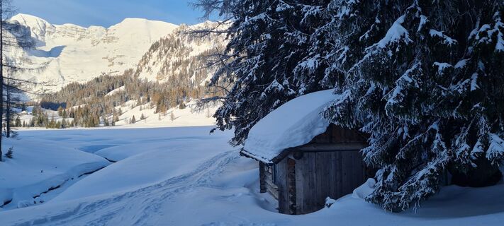 Foto von Afa entlang der Tour