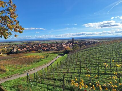Foto von Katharina entlang der Tour