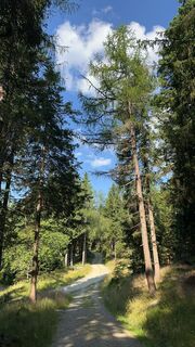 Fotografija s spletne strani Mani S na poti