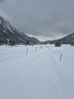 Photo de Anja Mohn-Gross le long du parcours