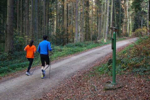 Planetenweg Jogging Wald