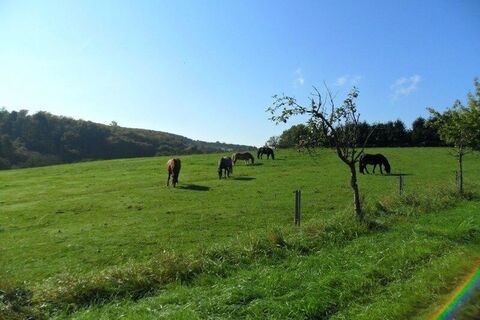 Pferdeweide