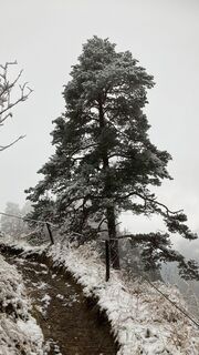 Foto von JosefRobert entlang der Tour