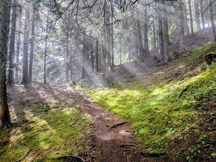 Foto von Sabrina Hackel entlang der Tour