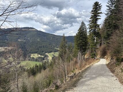 Foto de Similaun a lo largo del recorrido