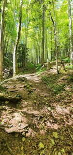 Foto von Jean Manuel Popescu entlang der Tour