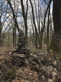 Foto de BieneM a lo largo del recorrido