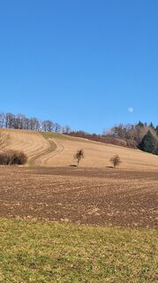 Foto von HeleneEcker entlang der Tour