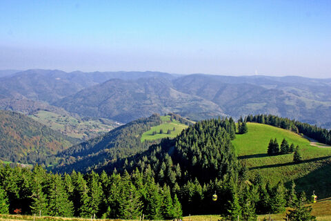 Ausblick vom Belchen