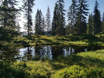 Wildschönau Feldalphorn Moorseen