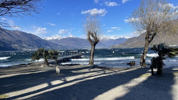 Fotografija s spletne strani Lis Malzach na poti
