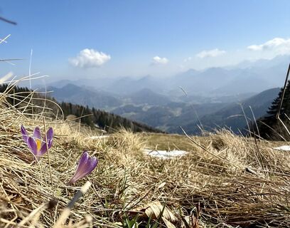 Foto von Natur_erleben_dg entlang der Tour