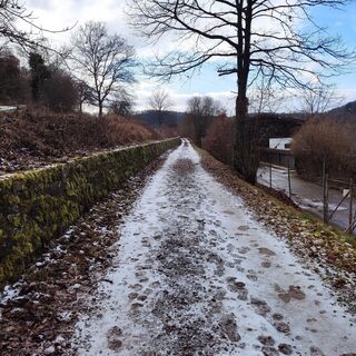 Rund um den Flöhberg