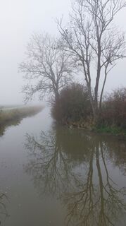 Fotografija s spletne strani wandelstef na poti