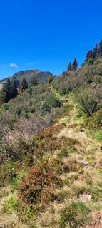 Photo de Claudia Ritz 1 le long du parcours