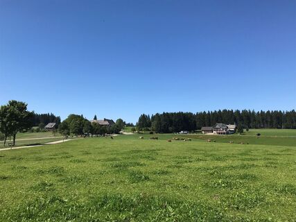 Schönwald - Blick auf Escheck
