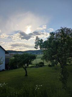 Fotografia z Burgim65 na trase