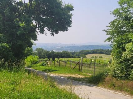 Foto von mmecki entlang der Tour