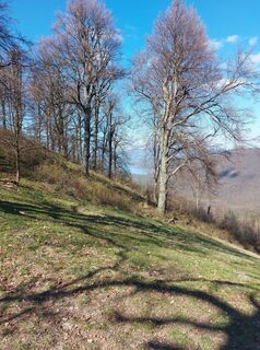 Photo de Zoltán Kovács 5 le long du parcours