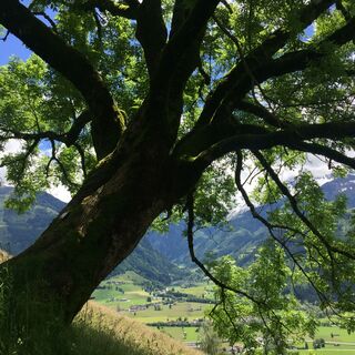 Blick ins Stubachtal