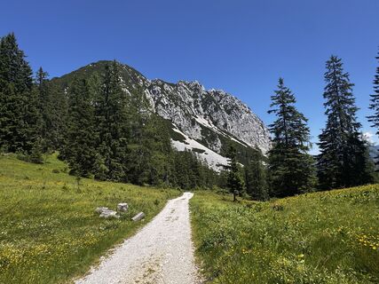 Fotografia z Friederike Steyrer na trase