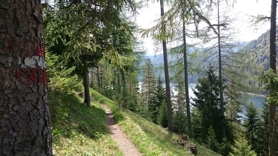 Blick zurück zum Erlaufsee