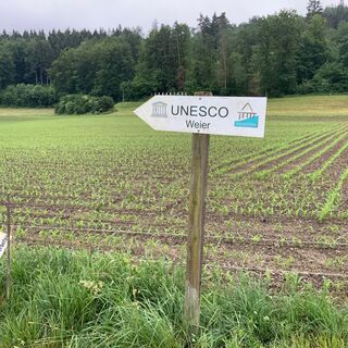 Die Fundstelle Thayngen-Weier ist UNESCO-Weltkulturerbe