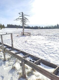 Foto von Lang Karl 1962 entlang der Tour