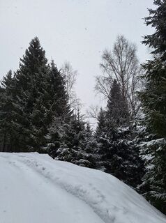 Foto von Liwo Uhlir entlang der Tour