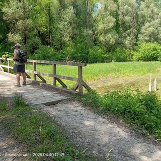 Gemenc National Forest