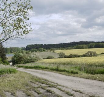 Auf dem Weg zum Stausee