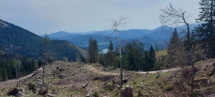 Fotografija s spletne strani Klaus Gruber 3 na poti