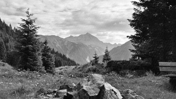 Foto von BarbischNicole entlang der Tour