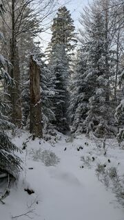 Foto von TaNja85 entlang der Tour
